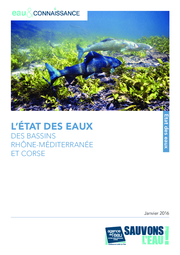 L'état des eaux des bassins Rhône Méditerranée et de Corse - 2015