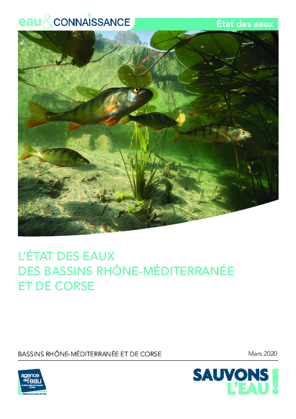 L'état des eaux des bassins Rhône-Méditerranée et Corse 2020