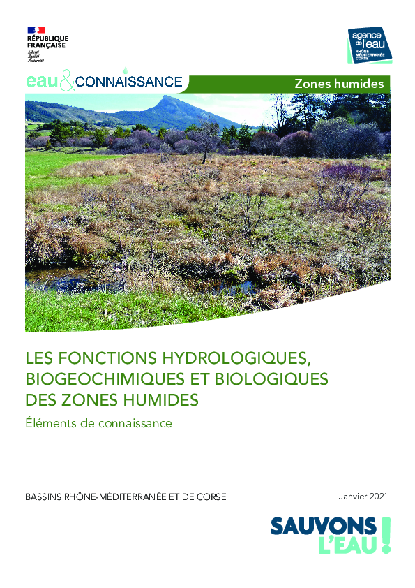Les fonctions hydrologiques, biogéochimiques et biologiques des zones humides