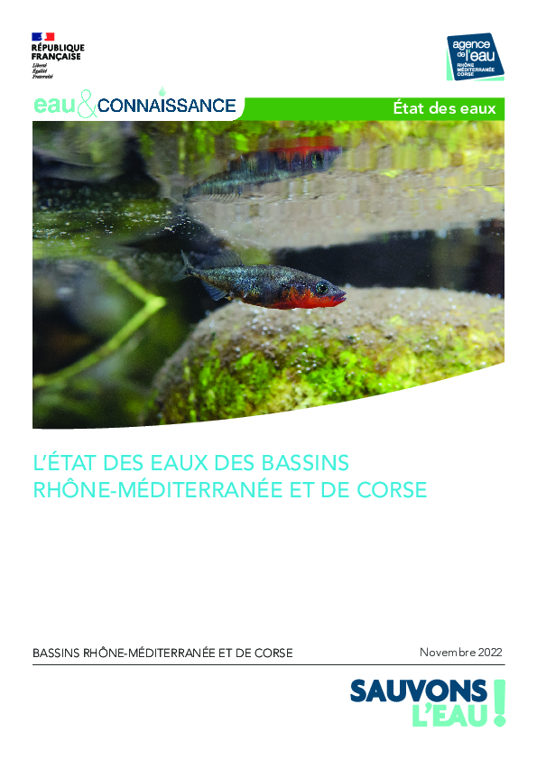 L'état des eaux des bassins Rhône-Méditerranée et de Corse 2022