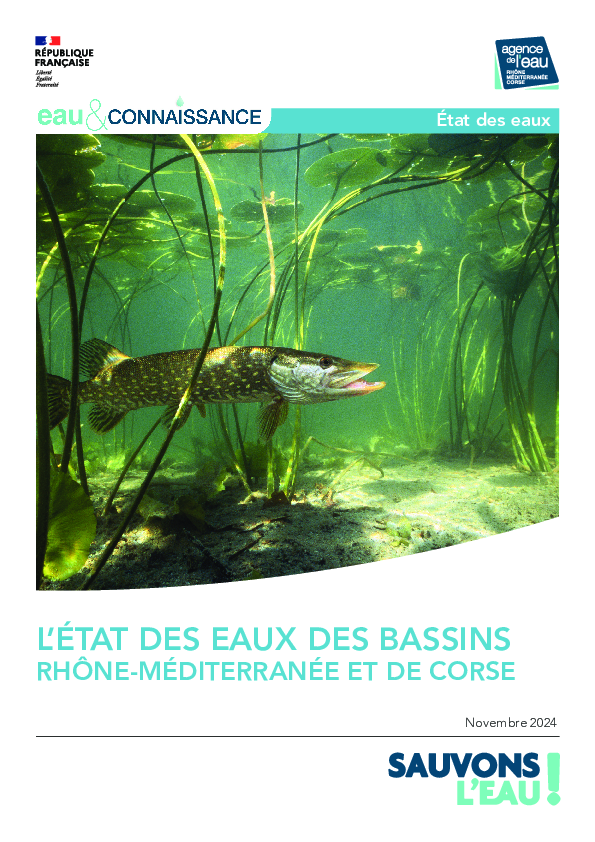 L'état des eaux des bassins Rhône-Méditerranée et Corse 2024