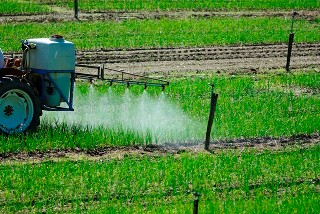 2008-epandage-pesticides-regis-domergue web