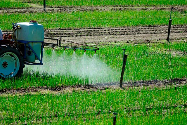 L'épandage des pesticides (photo)