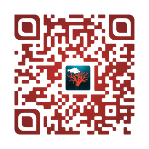 QR code de l'Application Qualité Méditerranée