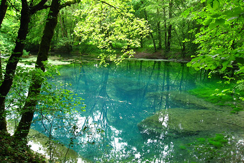 Source du Planet en Haute-Saône (photo)