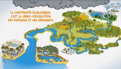la biodiversité (infographie)
