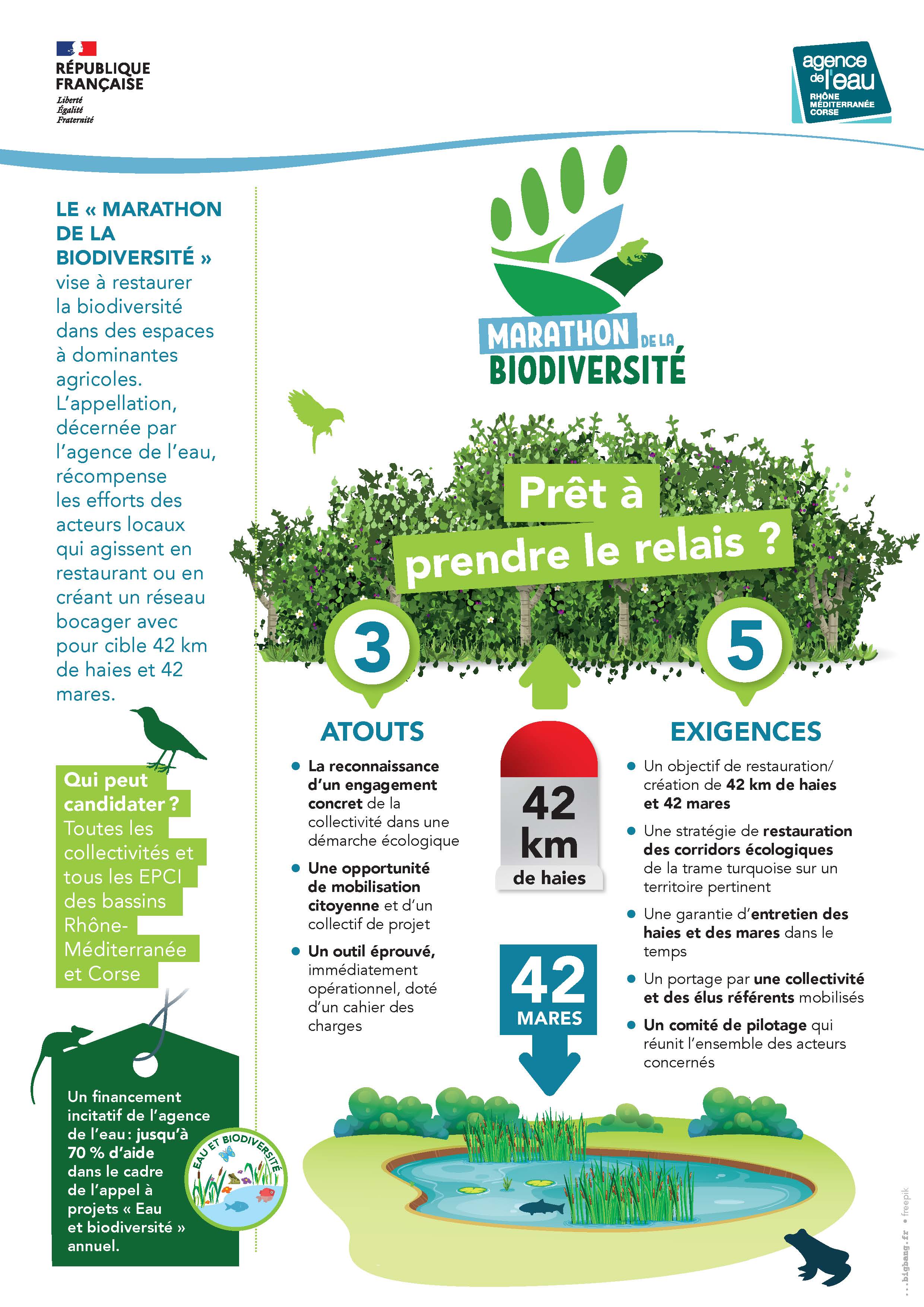 ae 2020 marathon biodiversite769 infographie hd