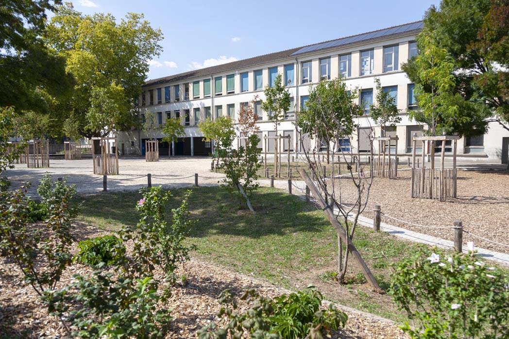 Ecole clemenceau-Grenoble David Miele web