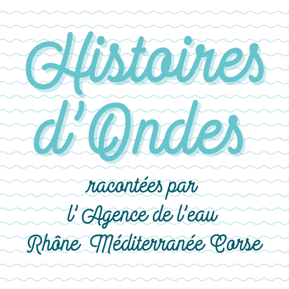 vignette pour site