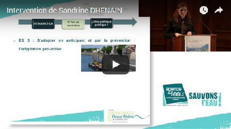 Vidéo : intervention S. Dhenain (nouvelle fenêtre)