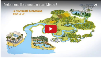 Vidéo : redonnons libre-cours à nos rivières !
