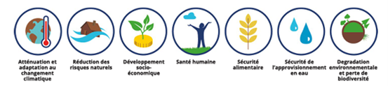 SFN enjeux sociétaux