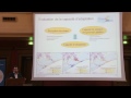 Risques et vulnérabilités induits par le changement climatique sur le littoral : le projet MISEEVA. Vidéo.