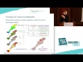 Un nouvel outil pour modéliser l'hydrologie du Rhône et préparer l'avenir . Vidéo.