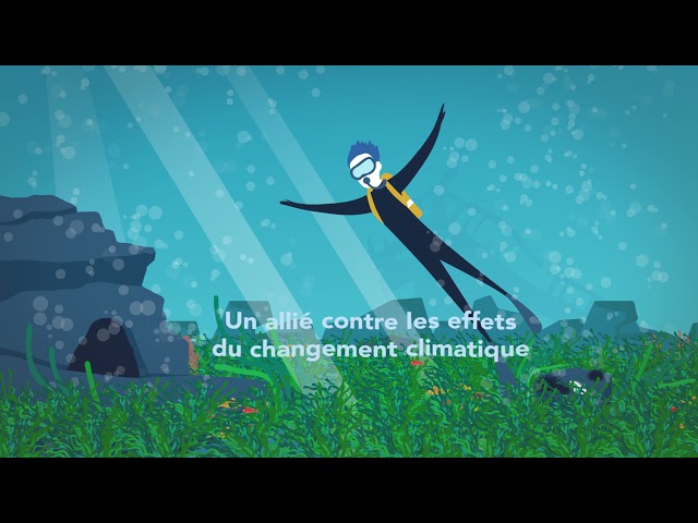 Sauver la Méditerranée : c'est possible !